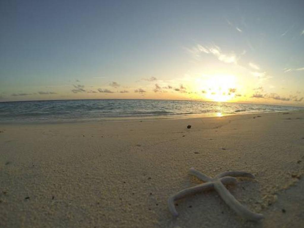 Local Island Inn Hangnaameedhoo Exteriér fotografie