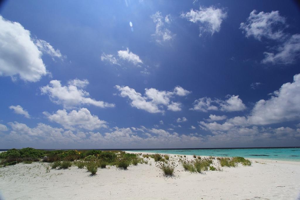 Local Island Inn Hangnaameedhoo Exteriér fotografie