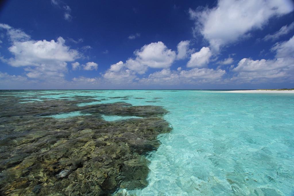 Local Island Inn Hangnaameedhoo Exteriér fotografie