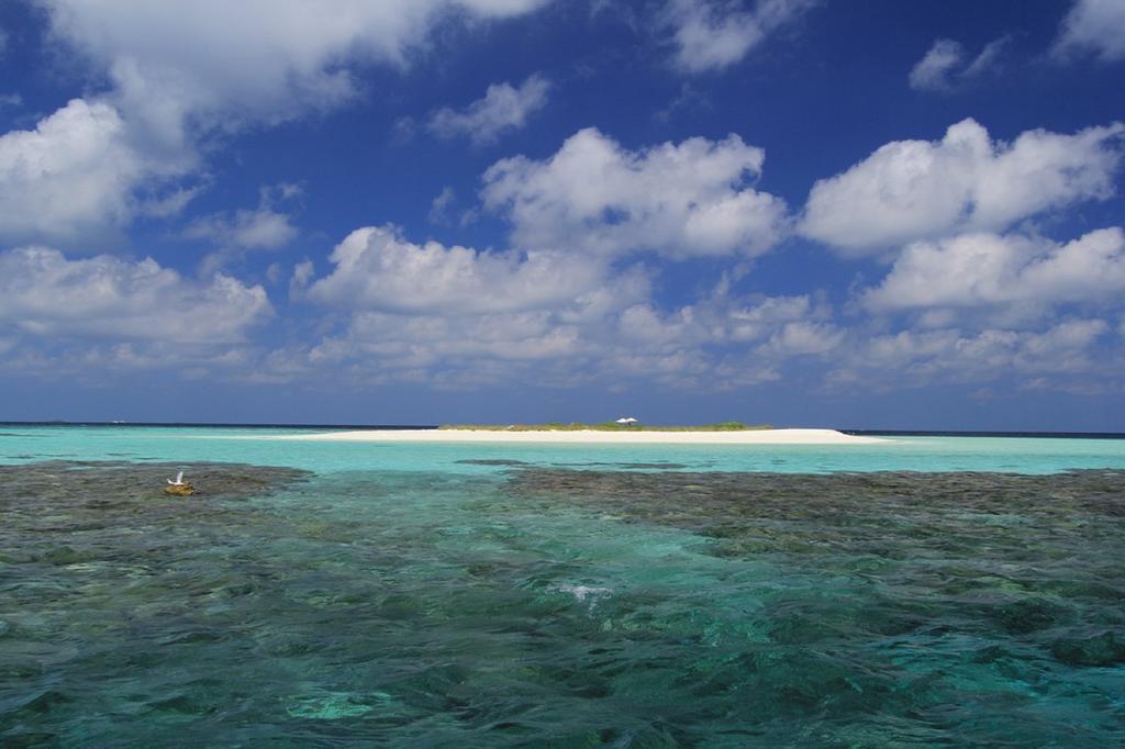 Local Island Inn Hangnaameedhoo Exteriér fotografie