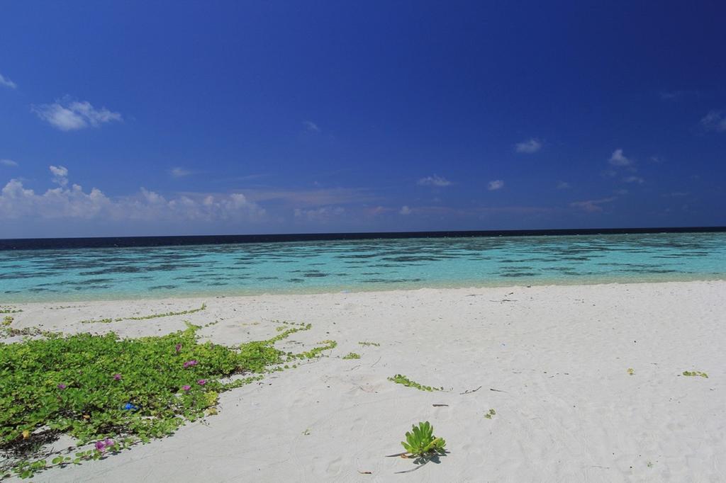 Local Island Inn Hangnaameedhoo Exteriér fotografie